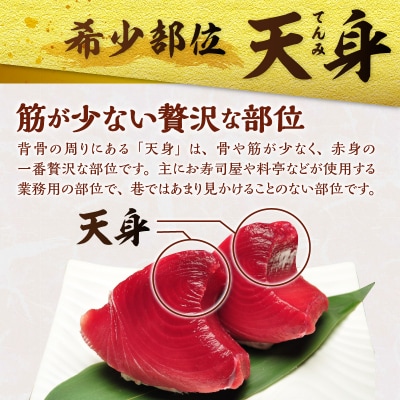 マグロ 赤身 訳あり 刺身 ホンマグロ 天身 約500g(a10-1077)