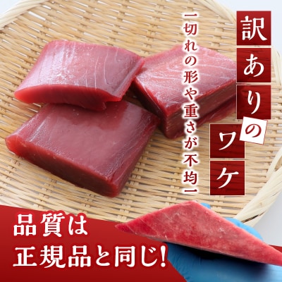 マグロ 赤身 訳あり 刺身 ホンマグロ 天身 約500g(a10-1077)