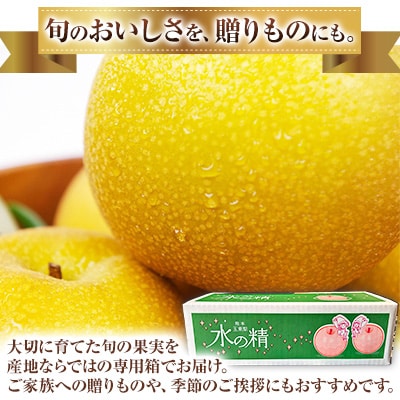 『緑伸園』旬の梨 旬の品種をお届け 約3kg 4-8玉前後《8月中旬-9月下旬頃出荷》