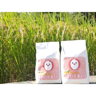 多度津町産  おいでまい(白米8kg)【A-11】