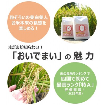多度津町産  おいでまい(白米8kg)【A-11】
