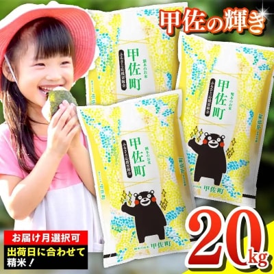 『甲佐の輝き』精米20kg【11月より新米発送】　令和8年産　新米【ZM】