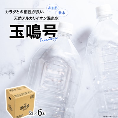 水 温泉水 玉鳴号 2l×6本 bi-tng-2l-6 ミネラルウォーター 天然 飲料