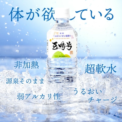 水 温泉水 玉鳴号 2l×6本 bi-tng-2l-6 ミネラルウォーター 天然 飲料