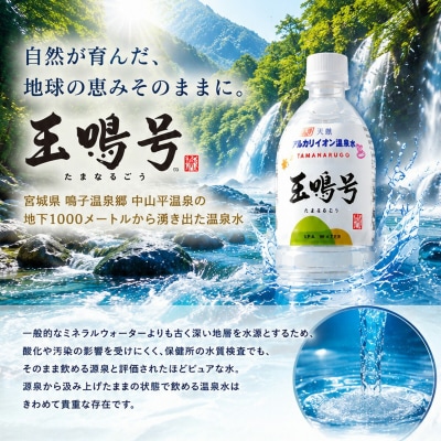 水 温泉水 玉鳴号 2l×6本 bi-tng-2l-6 ミネラルウォーター 天然 飲料