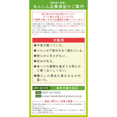 訳あり メロン2玉入り 青肉 2個 家庭用 マスクメロン 数量限定 tn-0063