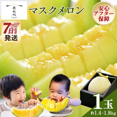 一果相伝マスクメロン 1玉入り tn-0064