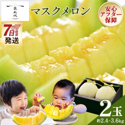 一果相伝マスクメロン 2玉入り tn-0065