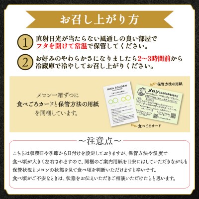 一果相伝マスクメロン 2玉入り tn-0065
