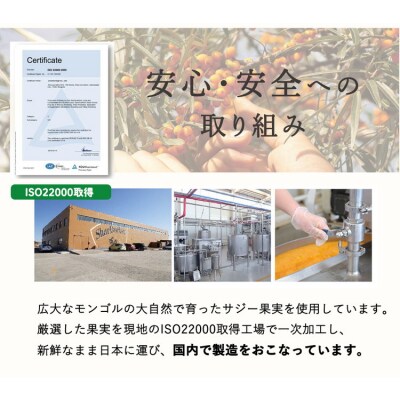【定期便10カ月】サジー グアマラルサジー 1000ml 毎月1本10カ月コース _DX29