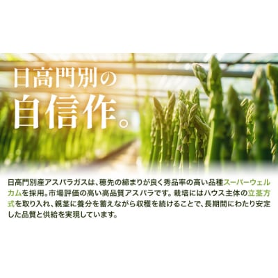 秀品 アスパラガス グリーンアスパラ 2L 800g 門別町農業協同組合《4月中旬-5月末頃出荷予》
