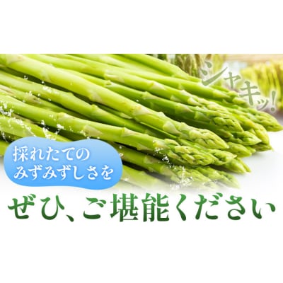 秀品 アスパラガス グリーンアスパラ 2L 1kg 門別町農業協同組合《4月中旬-5月末頃出荷予定》