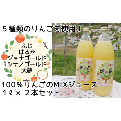 先行受付 5種類のりんご MIXジュース 1L×2本セット 煌め希りんご園 りんご 果汁100%