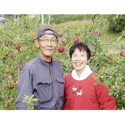 先行受付 5種類のりんご MIXジュース 1L×2本セット 煌め希りんご園 りんご 果汁100%