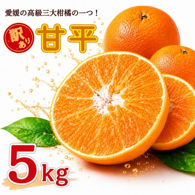 【先行受付】 訳あり 甘平 5kg サイズミックス 中山農園 愛媛県 愛南町