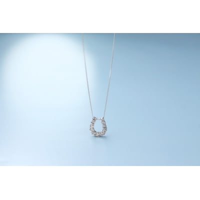 Pt900ダイヤモンドネックレス 0.363ct/上品な馬蹄デザイン/PT900-N007D