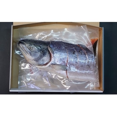 骨とり新巻鮭(甘塩)切身半身700g[01-936]