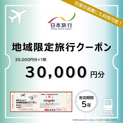石川県加賀市 日本旅行 地域限定旅行クーポン30,000円分 F6P-1019