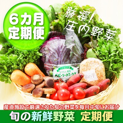 【定期便】新鮮野菜 5~8種類×6ヶ月 産直施設「あっでば」直送【10月中旬発送】