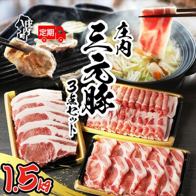【定期便】庄内三元豚 500g×3パック×6ヶ月 しゃぶしゃぶ 焼肉 ロース【10月中旬発送】