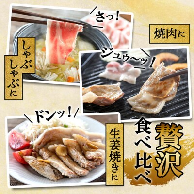 【定期便】庄内三元豚 500g×3パック×6ヶ月 しゃぶしゃぶ 焼肉 ロース【10月中旬発送】