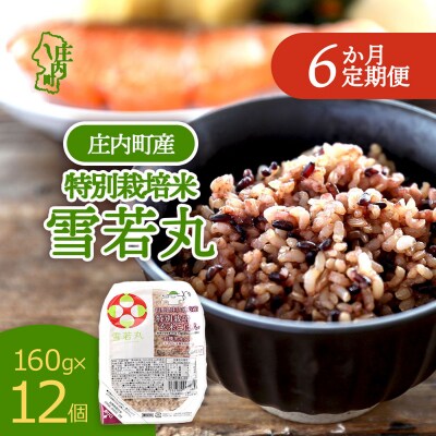 【定期便】雪若丸 玄米 パックごはん 160g×12個×6ヶ月 有機黒米入り【10月中旬発送】