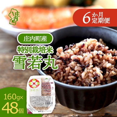 【定期便】雪若丸 玄米 パックごはん 160g×48個×6ヶ月 有機黒米入り【10月中旬発送】