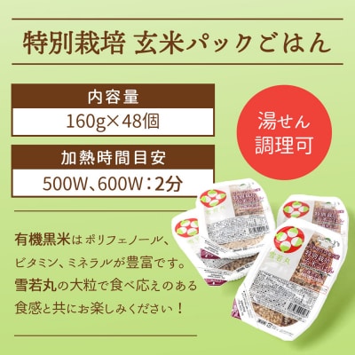 【定期便】雪若丸 玄米 パックごはん 160g×48個×6ヶ月 有機黒米入り【10月中旬発送】
