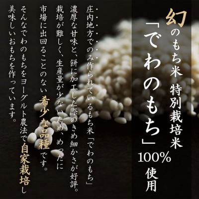 【定期便】杵つき 丸もち 380g×3袋×6ヶ月 個包装 梅木もち屋【10月中旬発送】