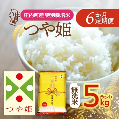 【定期便】＜令和8年産＞つや姫 無洗米 5kg×1袋×6ヶ月 毎月 5kg【9月下旬発送】