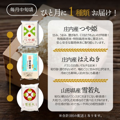 【定期便】＜令和8年産＞山形米 食べ比べ 5kg×3ヶ月 毎月 1種 計15kg【10月中旬発送】