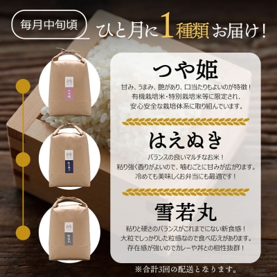 【定期便】＜令和8年産＞ 庄内町産 ブランド米 食べ比べ 5kg×3ヶ月【10月中旬発送】