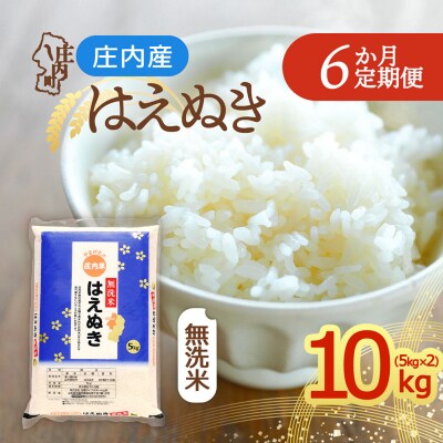 【定期便】<令和8年産>はえぬき 無洗米 5kg×2袋×6ヶ月 毎月 10kg【10月中旬発送】