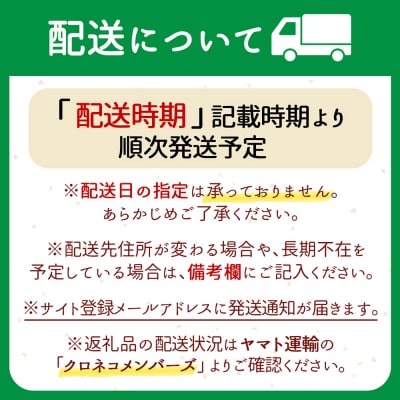 【定期便】<令和8年産>はえぬき 無洗米 5kg×2袋×6ヶ月 毎月 10kg【10月中旬発送】