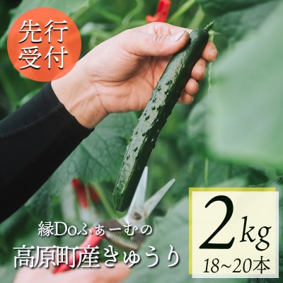 【先行受付10月収穫分】宮崎県高原町産きゅうり2kg(18～20本)TF0905