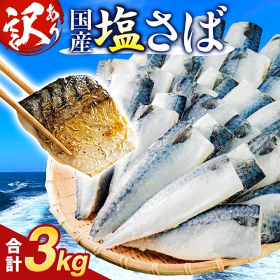 国産さば 塩サバ 3kg 無塩サバ フィレ 冷凍 焼くだけ 簡単調理 バラ凍結 石巻市
