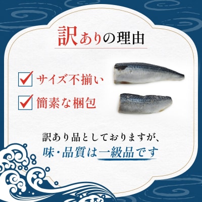 国産さば 塩サバ 3kg 無塩サバ フィレ 冷凍 焼くだけ 簡単調理 バラ凍結 石巻市