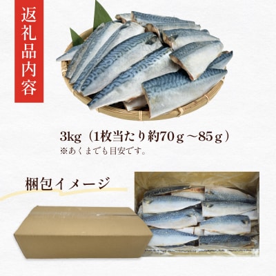 国産さば 塩サバ 3kg 無塩サバ フィレ 冷凍 焼くだけ 簡単調理 バラ凍結 石巻市