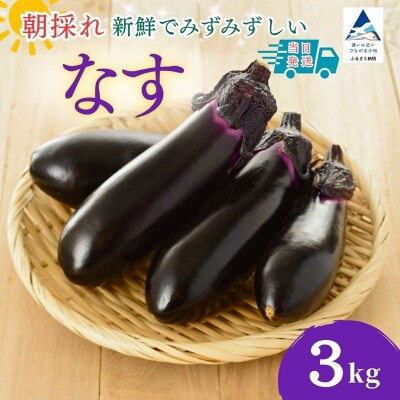 なす 3kg (30個以上) なす ナス 茄子 野菜