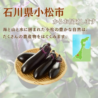 なす 3kg (30個以上) なす ナス 茄子 野菜