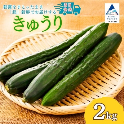 きゅうり 2kg (20本以上) きゅうり 野菜
