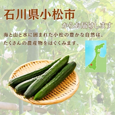 きゅうり 2kg (20本以上) きゅうり 野菜
