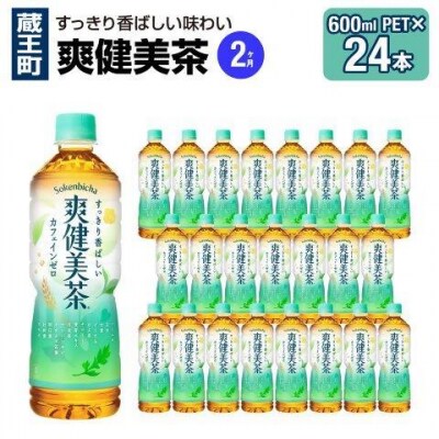 【2か月連続お届け】爽健美茶　600ml PET×24本　【04301-0696】