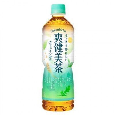 【2か月連続お届け】爽健美茶　600ml PET×24本　【04301-0696】