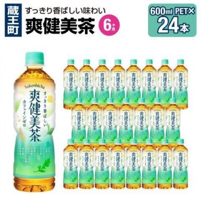 【6か月連続お届け】爽健美茶　600ml PET×24本　【04301-0697】