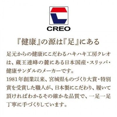 太ワッフル外縫い前あきL(約27cmまで) ブラウン　【04301-0601-3】