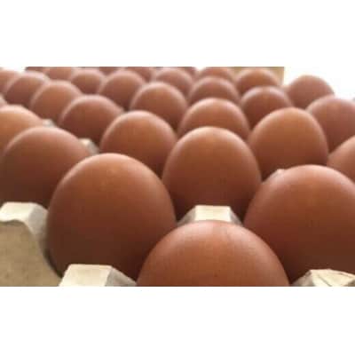 眠れる森のたまご　朝採れ卵30個+自家製マヨネーズ+ドレッシングセット　【04301-0182】