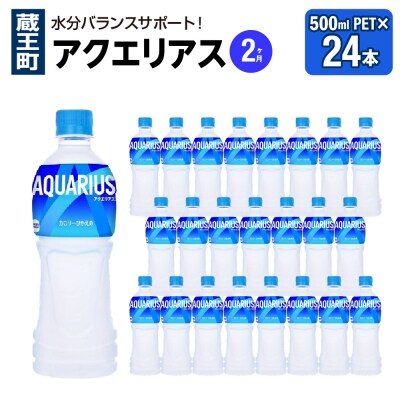【2か月連続お届け】アクエリアス　500ml PET×24本　【04301-0705】