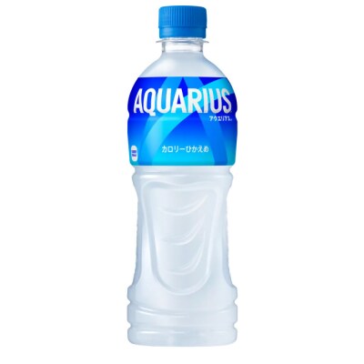 【2か月連続お届け】アクエリアス　500ml PET×24本　【04301-0705】