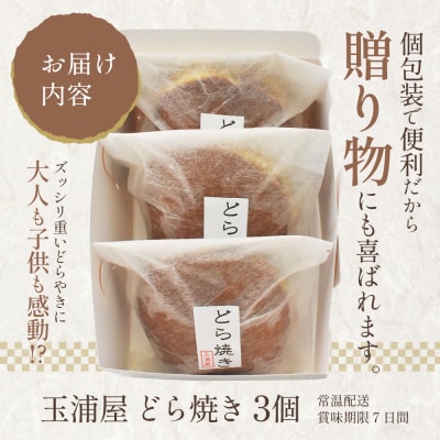 玉浦屋名物 ズッシリ大きなどら焼き 3個【04301-0807】